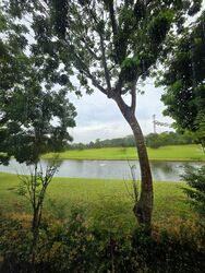 Cove Drive (D4), Semi-Detached #482512651